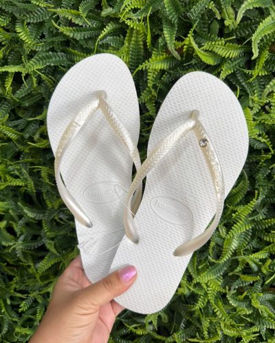 Imagem do WhatsApp de 2025-10-22 à(s) 14.51.29_c54e5366